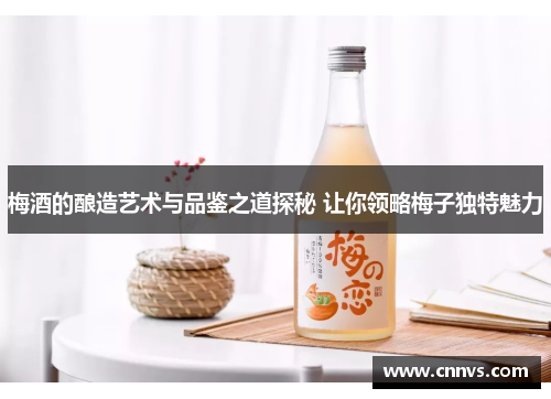 梅酒的酿造艺术与品鉴之道探秘 让你领略梅子独特魅力