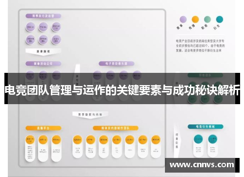 电竞团队管理与运作的关键要素与成功秘诀解析
