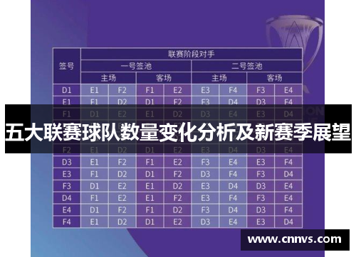五大联赛球队数量变化分析及新赛季展望
